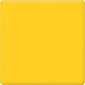 Maize