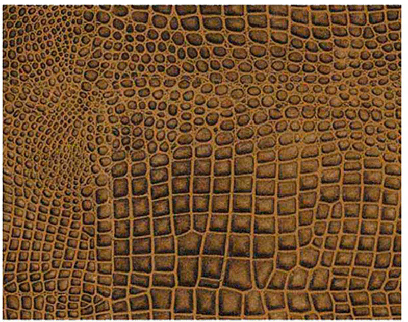 Crocodile 3D - 57x80 cm