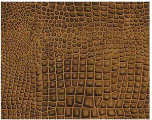 Krokodil i 3D - 57x80 cm