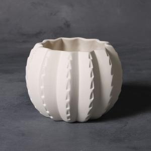 Cactus Planter - 6 pcs