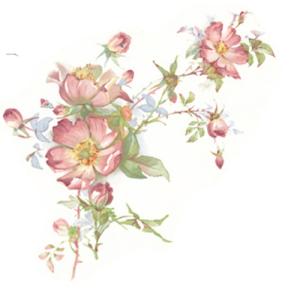 Rambling Rose 110 x 70 mm - 1 pcs