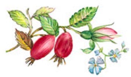 Country Lane - 30 mm - 10 pcs