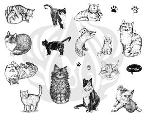 Cats
