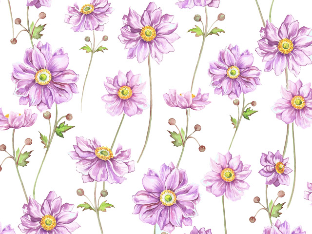 Anemone 70x50cm