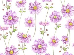 Anemone 70x50cm