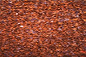 Solar Flare Orange