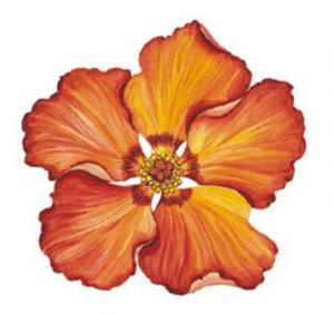 Hibiscus 90 mm - 1 pcs