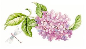 Hydrangea - 95 mm - 1 pcs