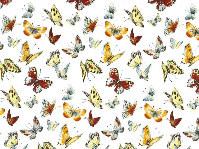 Butterflies II 70x50 cm