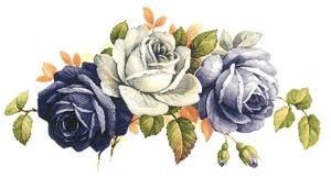 Blue Roses - 5 pcs