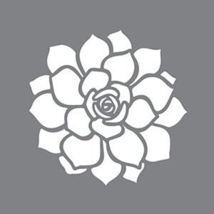 Succulent