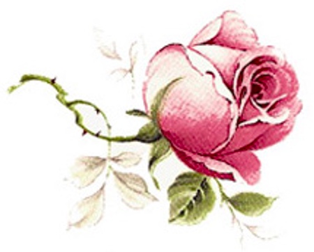 Rose - 40 mm - 10 Stk