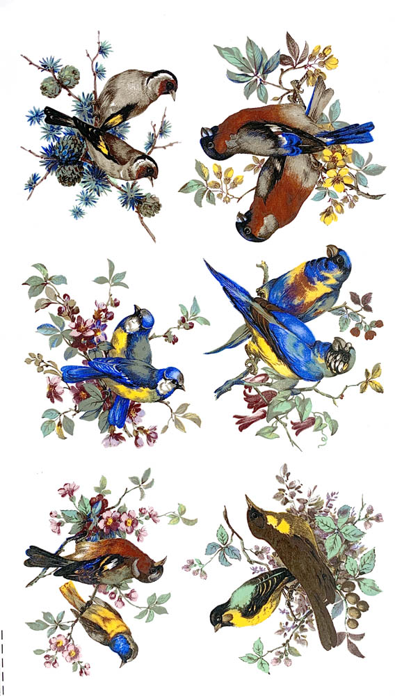 Birds - set of 6 pcs