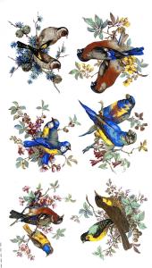 Vögel 65 mm - Set mit 6 Stk