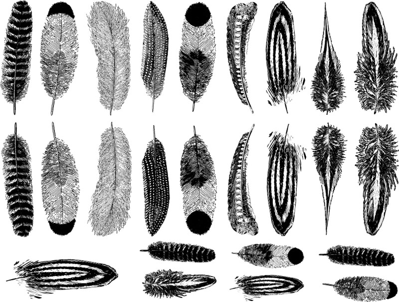 Kleine Federn - Gold