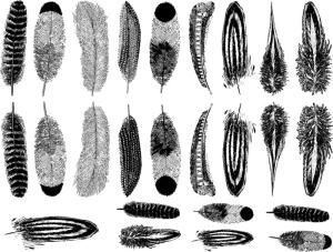 Kleine Federn - Gold