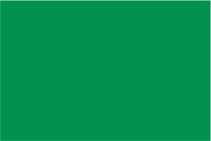 Stylin - Green