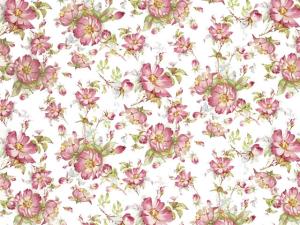 Rambling Rose 70x50 cm