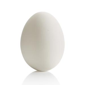 Large Egg - 8 pcs
