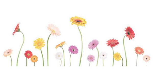 Daisy - Mug 9 x 19 cm - 1 pcs