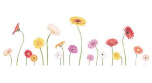 Daisy - Mug 9 x 19 cm - 1 pcs