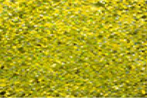 Gold Shooting Star