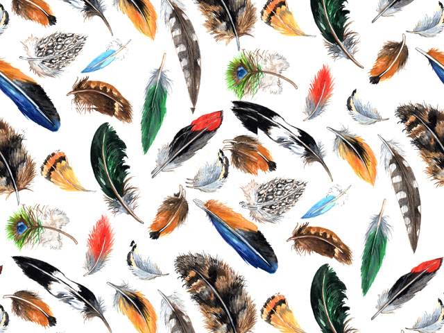 Feathers 70x50 cm