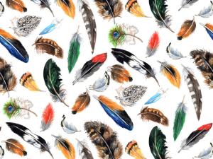 Feathers 70x50 cm
