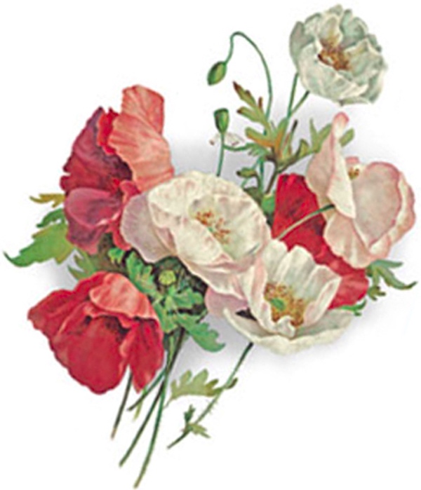 Poppy Bouquet - 80 mm - 10 pcs