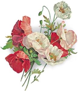 Poppy Bouquet - 80 mm - 10 pcs