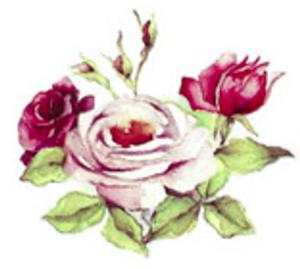 Rosegarden - 35 mm - 10 pcs