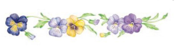 Stiefmütterchen - 210x35 mm - 1 st