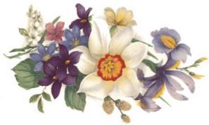 Spring - 82 mm - 1 pcs