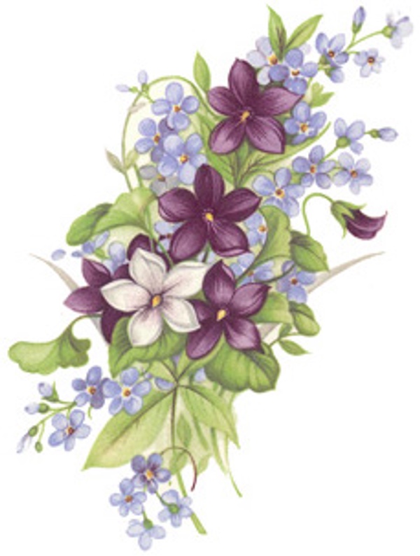 Violets - 55 x 110 mm - 1 pcs