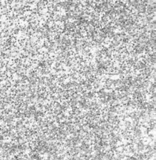 Holographic - Silver Illusion