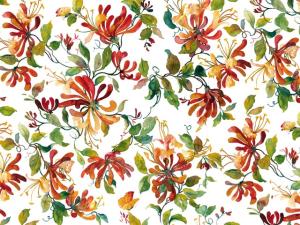 Honeysuckle 70x50 cm