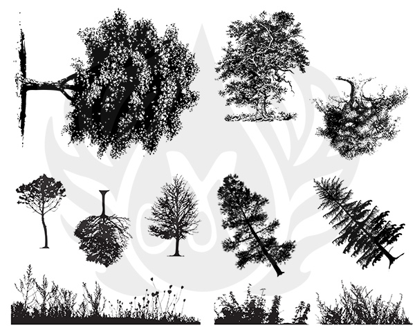 Trees