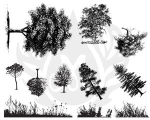 Trees