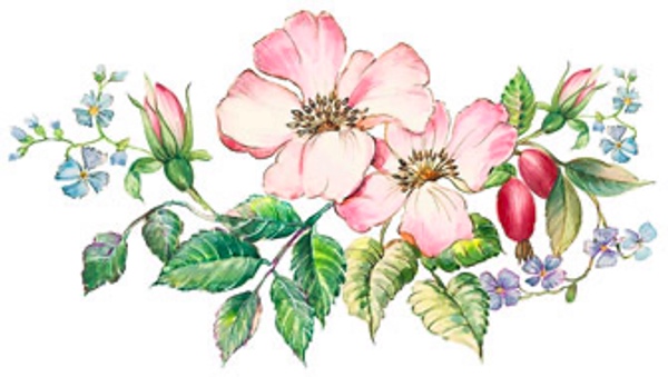 Country Lane - 80 mm - 10 pcs