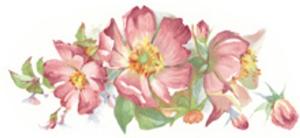 Rambling Rose 92 x 40 mm - 10 pcs