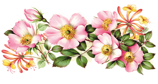 Honeysuckle - Mug 9 x 19 cm - 1 pcs