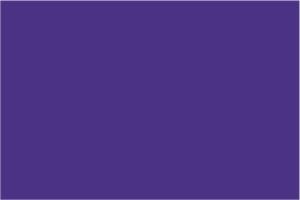 Stylin - Purple