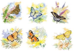 Schmetterlinge - 50 mm - Set mit 6 Stk