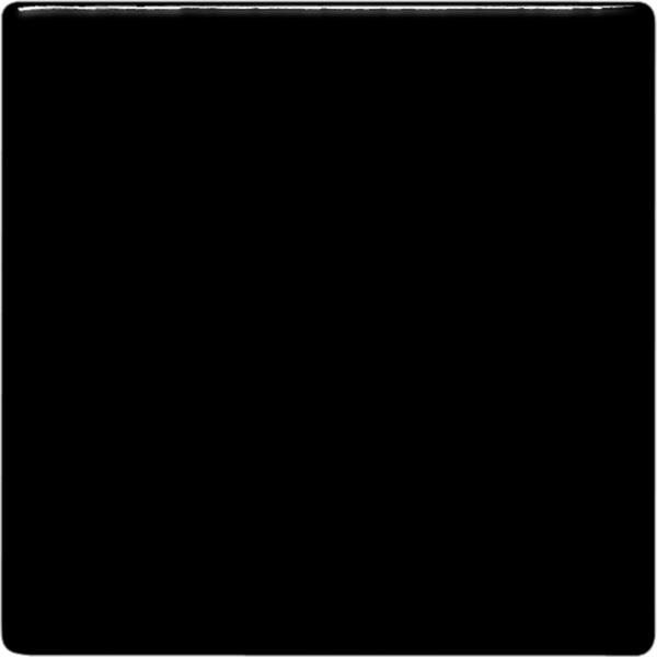 Coal Black