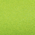 Limelight