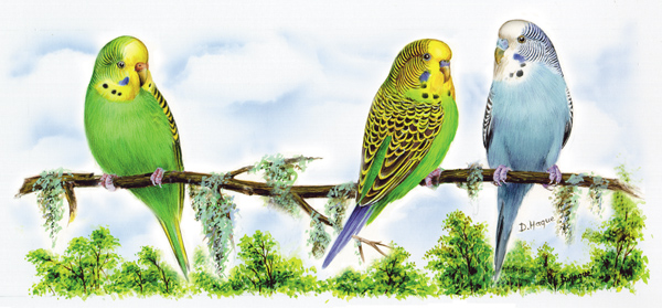 Wellensittich - Tasse 9 x 19 cm - 1 stk