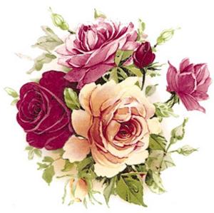 Golden Bouquet - 105 mm - 1 pcs