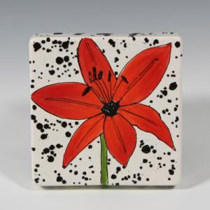 Canvas 15 x 15 - 6 St