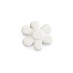 Blume - 12 St