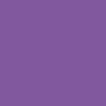 Petunia Purple